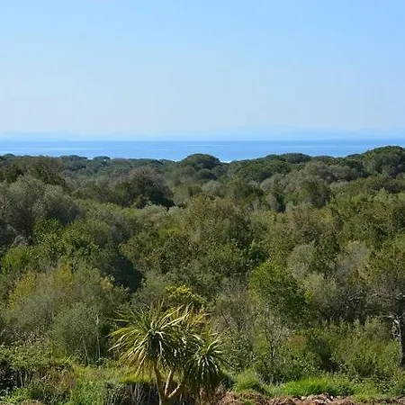 Βίλα Palmiers De Palombaggia Πόρτο Βέκιο